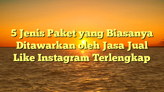 5 Jenis Paket yang Biasanya Ditawarkan oleh Jasa Jual Like Instagram Terlengkap